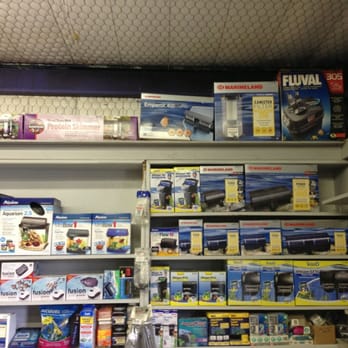 Oasis Tropicals - Saltwater inventory. - Pet Stores Near Me - Pleasanton, Texas Oasis Tropicals - Saltwater inventory. - Pet Stores Near Me - Pleasanton, Texas