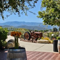 Leoness Cellars - Leoness Views