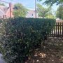 Felix Landscaping Services