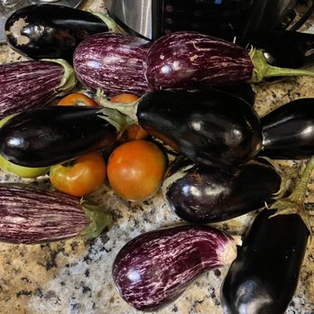 Martha Stop U-Pick - Eggplants - Fruits & Veggies Near Me - Miami, Florida