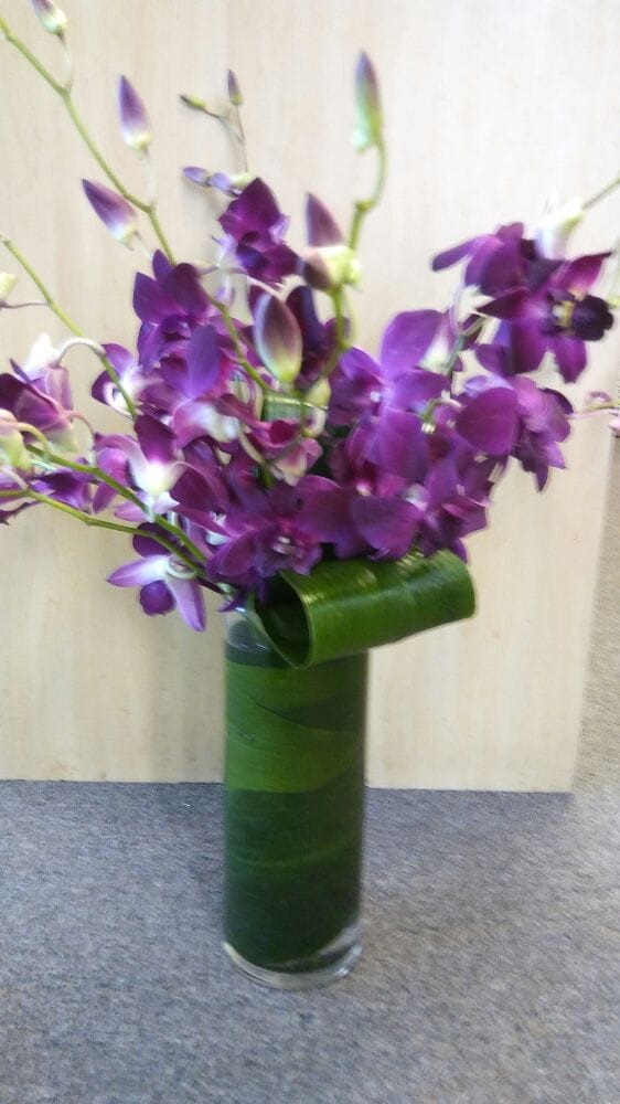 LUTZ FLOWER COMPANY 10 Photos Lutz, FL Yelp