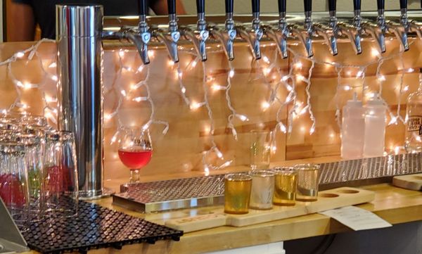 Locust Cider Gig Harbor by null