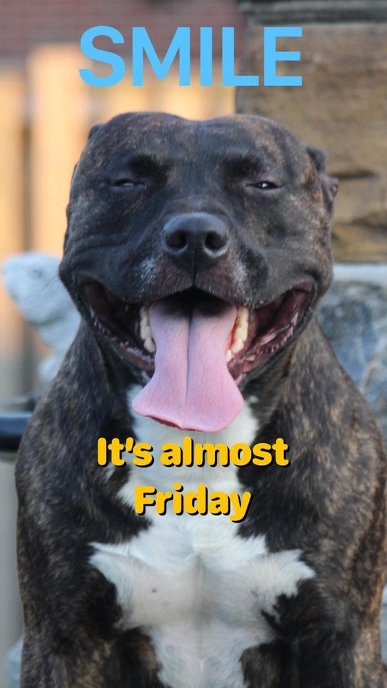 Slide of Pohlman Plumbing