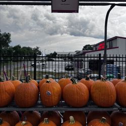 Westlake Ace Hardware