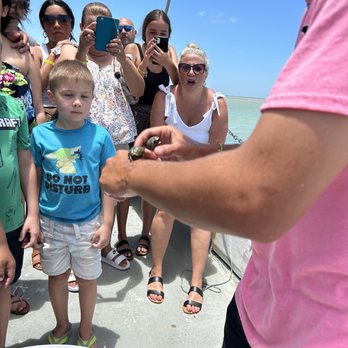 Isla Tours - Snails - Boating Near Me - South Padre Island, Texas Isla Tours - Snails - Boating Near Me - South Padre Island, Texas