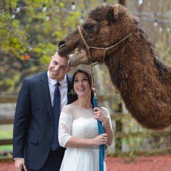 Reptacular Animals - Newly Weds! - Party & Event Planning Near Me - Sun Valley, California Reptacular Animals - Newly Weds! - Party & Event Planning Near Me - Sun Valley, California