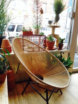 Homecoming by null Homecoming by null