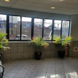 Endodontic Associates of Bayside - Beautiful foyer with palm trees