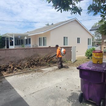 Juan Tree Service - 2nd of 3 rounds of cleaning - Tree Services Near Me - Buena Park, California Juan Tree Service - 2nd of 3 rounds of cleaning - Tree Services Near Me - Buena Park, California