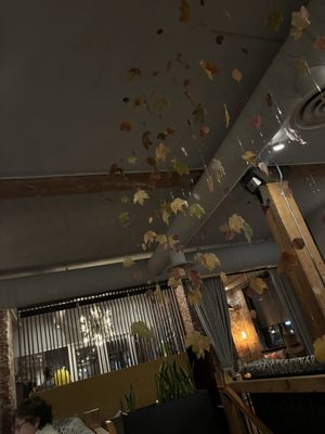 Harvester Kitchen by Bryan by null