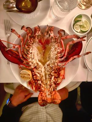 American Bar - New York by null