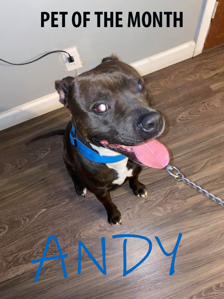 LITTLE PAWS TO THE RESCUE Updated June 2024 Chicago, Illinois