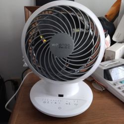 Costco Wholesale - Got the woozoo fan from there