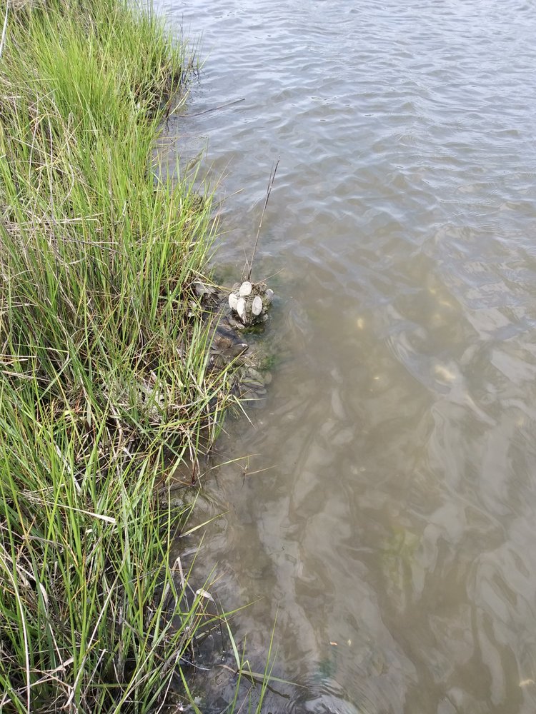 HEMPHILL’S DOCK Updated July 2024 11932 Salt Grass Point Rd