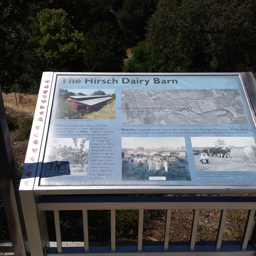 Sabercat Creek Trail - Interpretive history along the trail - Parks Near Me - Fremont, California Sabercat Creek Trail - Interpretive history along the trail - Parks Near Me - Fremont, California