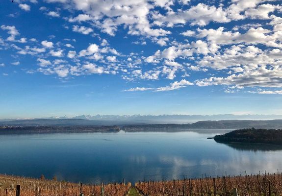 Aux Trois Amis by null