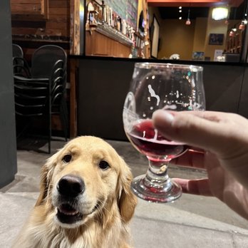 The Casual Pint - Central Phoenix - a golden retriever enjoying a glass of wine - Beer Bar Near Me - Phoenix, Arizona The Casual Pint - Central Phoenix - a golden retriever enjoying a glass of wine - Beer Bar Near Me - Phoenix, Arizona