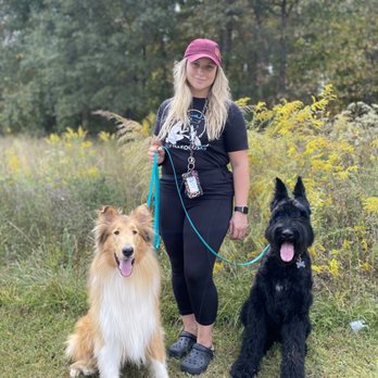 FullFocusK9 - Pet Training Near Me FullFocusK9 - Pet Training Near Me