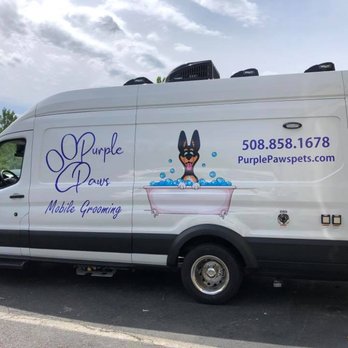 Purple Paws - Pet Groomers Near Me Purple Paws - Pet Groomers Near Me