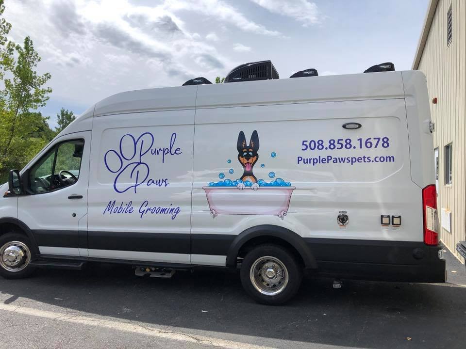 PURPLE PAWS Updated September 2024 Bellingham, Massachusetts Pet