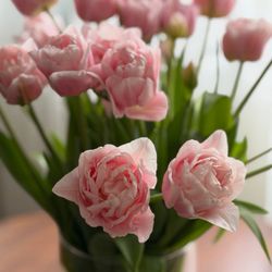 Roozengaarde Display Garden & Store - Fresh tulips from the farm store