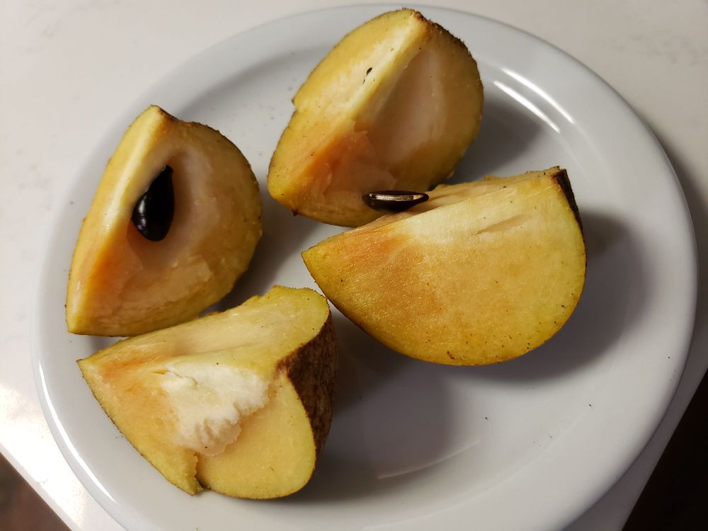 El Palacio De Los Jugos