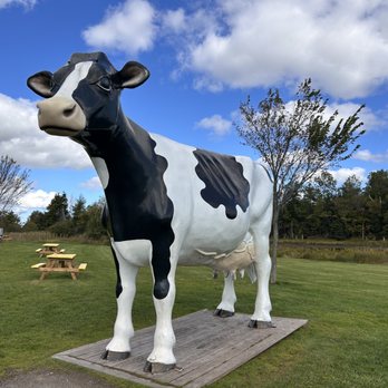 COWS Creamery - Ice Cream & Frozen Yogurt Near Me - Charlottetown, Prince Edward Island COWS Creamery - Ice Cream & Frozen Yogurt Near Me - Charlottetown, Prince Edward Island