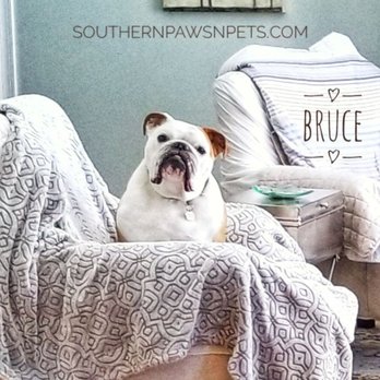 Southern Paws 'N' Pets - Bruce - Pet Groomers Near Me - Bailey, North Carolina