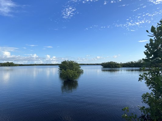 Rising Tide Explorers by null