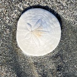 Crescent Beach