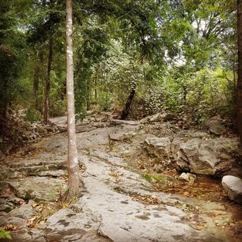Krause Springs - Campgrounds Near Me - Spicewood, Texas Krause Springs - Campgrounds Near Me - Spicewood, Texas