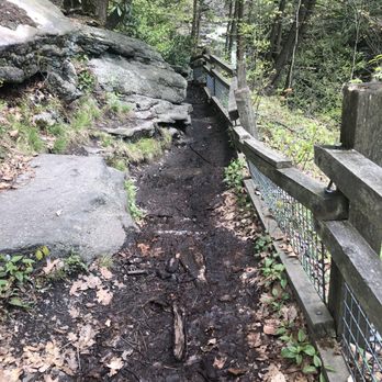 Nay Aug Park - Trail heading to falls - Parks Near Me - Scranton, Pennsylvania