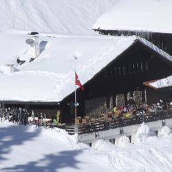Le Poussin - Le Poussin in the snow