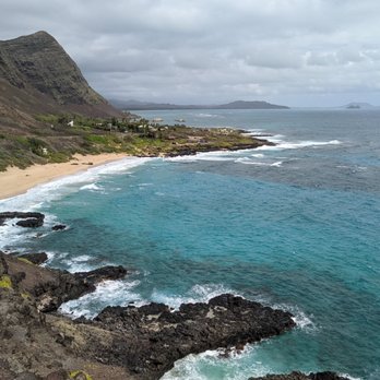 Hawaii Turtle Tours - Tours Near Me - Honolulu, Hawaii