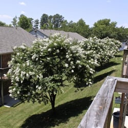 Meadowridge Apartments