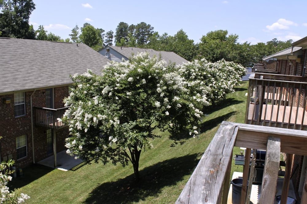 MEADOWRIDGE APARTMENTS Updated October 2024 340 N College Dr