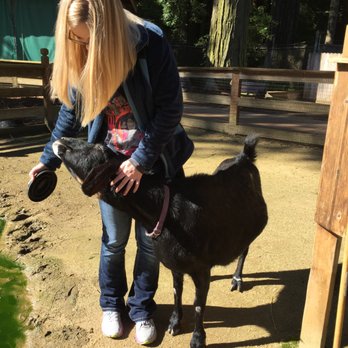 Sequoia Park Zoo - Petting Zoo - Zoos Near Me - Eureka, California Sequoia Park Zoo - Petting Zoo - Zoos Near Me - Eureka, California