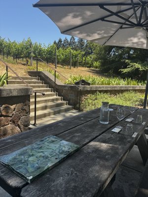 Truchard Vineyards by null