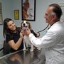 Photo of Countryside Animal Hospital