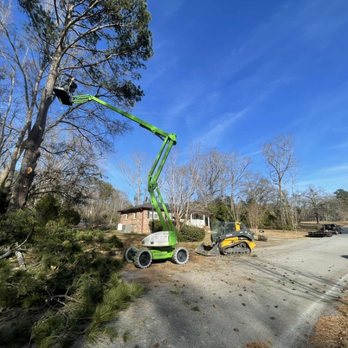 Dillard Land Management - Tree Services Near Me - Newberry, South Carolina Dillard Land Management - Tree Services Near Me - Newberry, South Carolina
