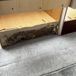Termite damage on the cabinets
