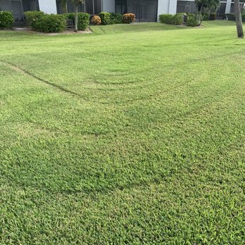 Lawns by Scott - Landscaping Near Me - Cocoa Beach, Florida