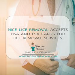 Nice Lice Removal