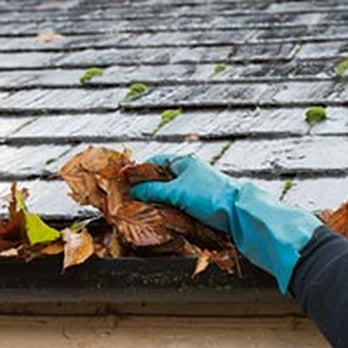 Bug Blasters - Pest Control Near Me Bug Blasters - Pest Control Near Me