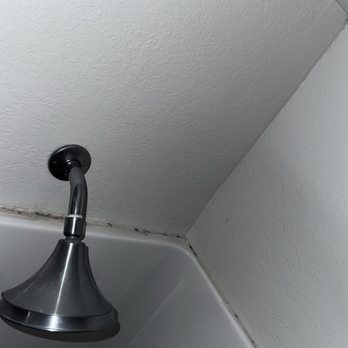 Quality Inn - This mold is around the shower - Hotels Near Me - Berea, Kentucky Quality Inn - This mold is around the shower - Hotels Near Me - Berea, Kentucky