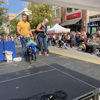 Easton Pet Parade - Festivals Near Me - Columbus, Ohio