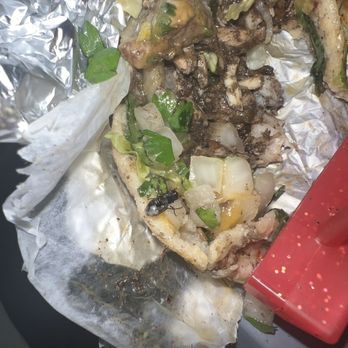 The Taco Place - Jerk Plaintain Taco - Mexican Near Me - Dolton, Illinois The Taco Place - Jerk Plaintain Taco - Mexican Near Me - Dolton, Illinois