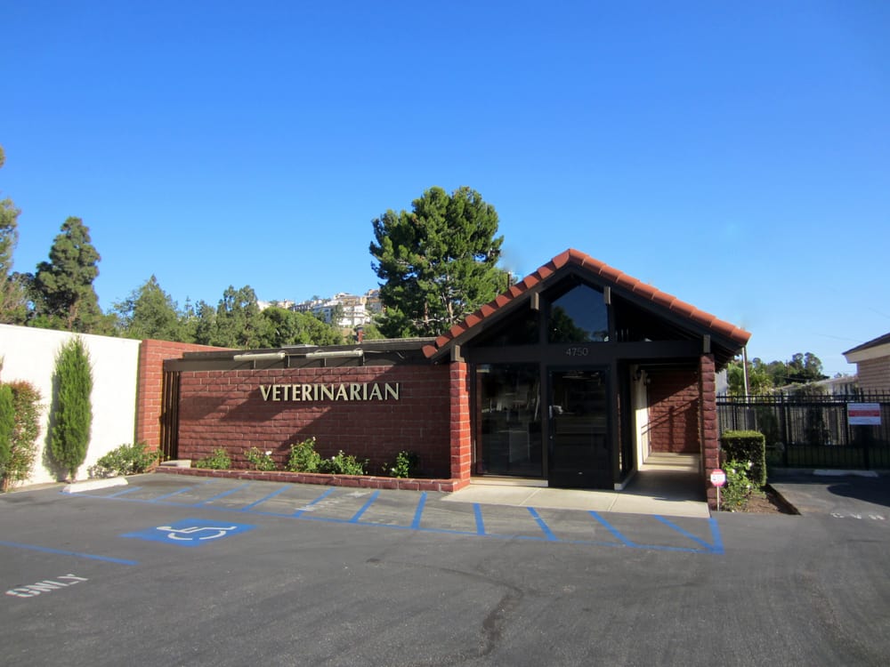ORANGE HILL VETERINARY HOSPITAL Updated September 2024 96 Photos