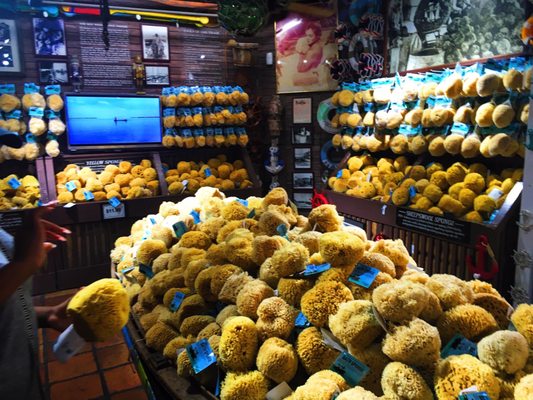 Key West Sponge Market by null
