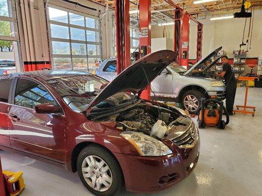 Servicing Timing Belts to Engine Repair! - We have been serving the Las Vegas community since 2001 and have built our reputation as an honest and competent repair facility. Our technicians take pride in themselves and their work and have proved their dedication to this profession by achieving the highest possible certification as Master Automobile Technicians. Call Now! Servicing Timing Belts to Engine Repair! - We have been serving the Las Vegas community since 2001 and have built our reputation as an honest and competent repair facility. Our technicians take pride in themselves and their work and have proved their dedication to this profession by achieving the highest possible certification as Master Automobile Technicians. Call Now!
